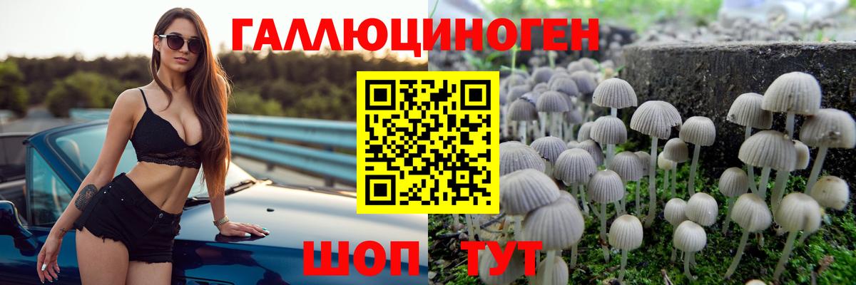 Энгельс  Псилоцибиновые грибы мицелий  Вход с VPN 