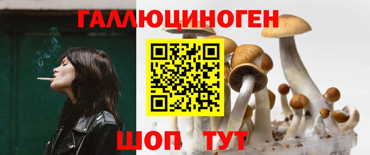 Галлюциногенные грибы мухоморы Энгельс